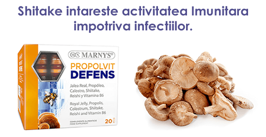 ciuperca shitake sporeste imunitatea impotriva infectiilor.fw