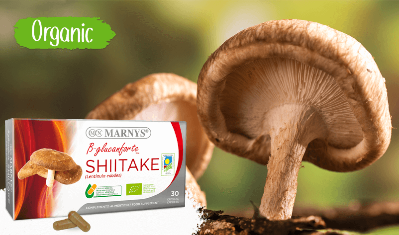 shiitake-supliment-100%-bio-si-natural-gradina-sanatatii