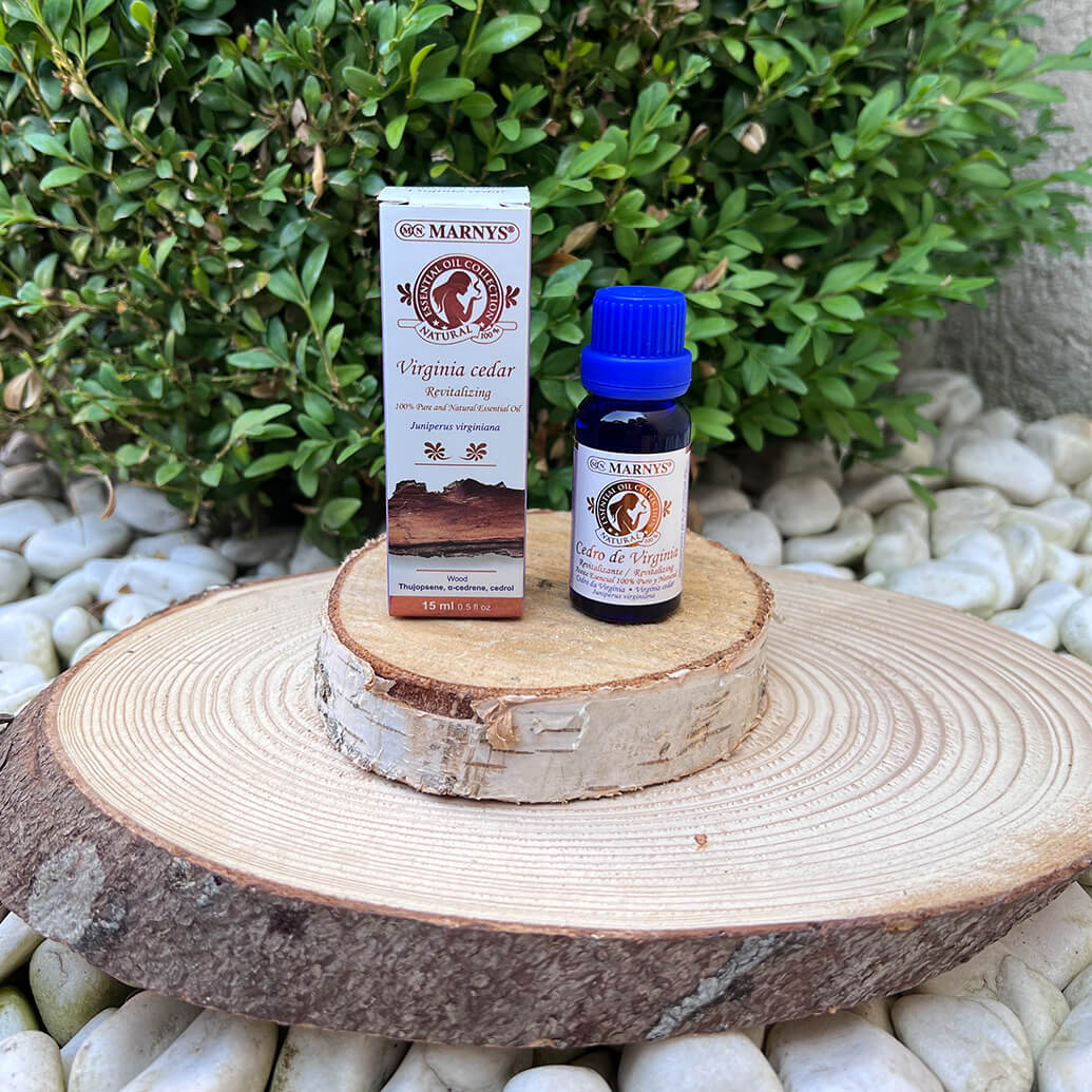 CEDRU DE VIRGINIA (JUNIPERUS VIRGINIANA) SAU IENUPARUL VIRGINIAN CEDRU DE VIRGINIA (JUNIPERUS VIRGINIANA) SAU IENUPARUL VIRGINIAN