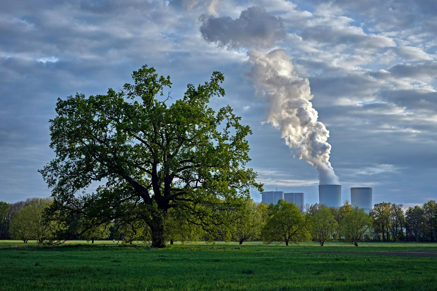 ce sunt metalele grele ce sunt metalele grele