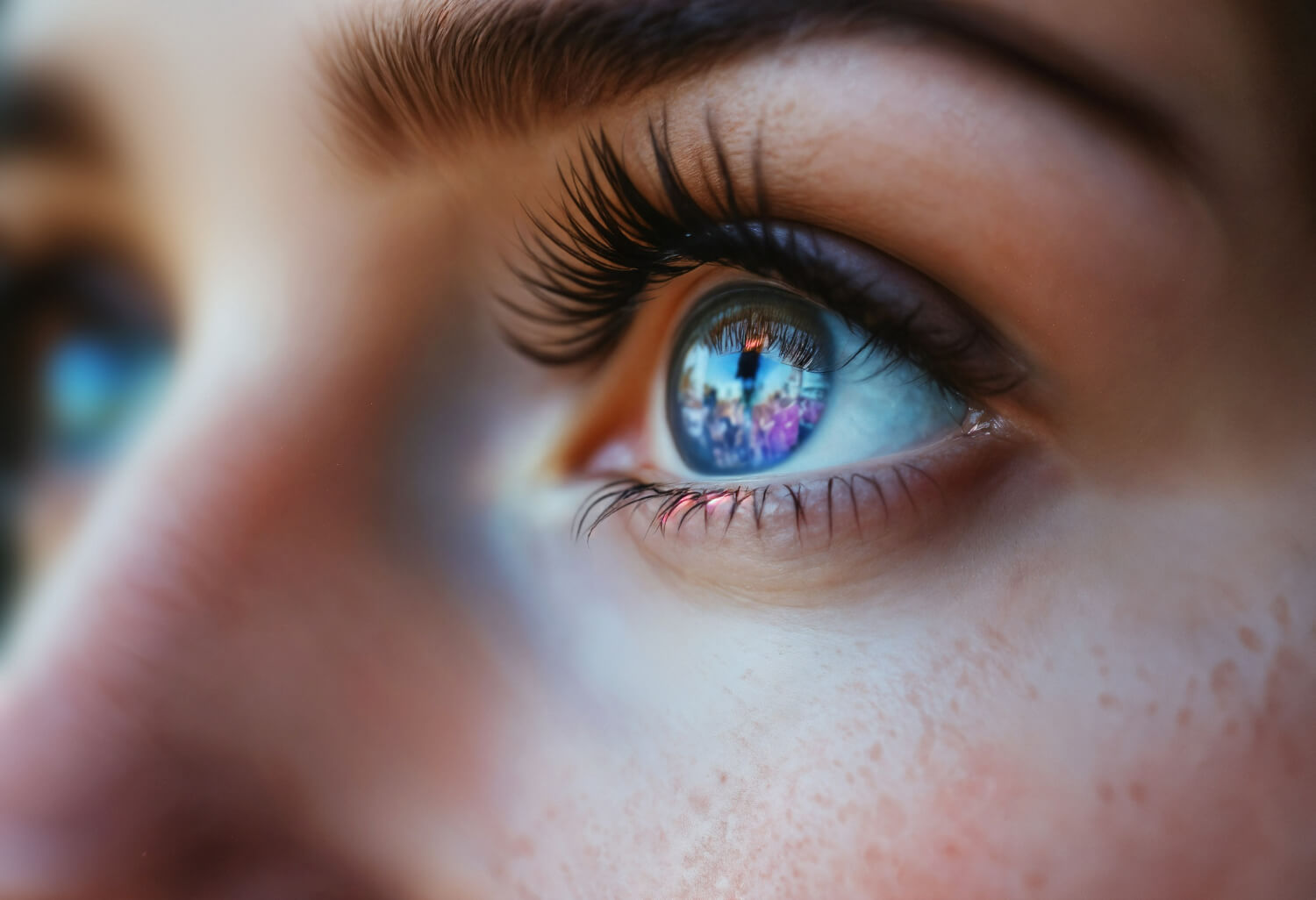 functiile irisului functiile irisului